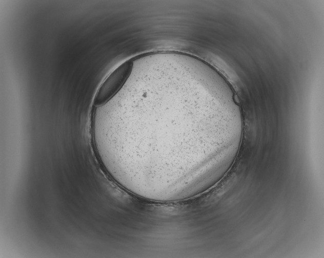 X0000111940948200908171254