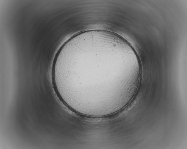 X0000111940949200908171254