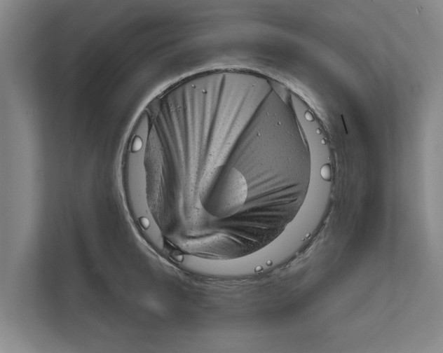 X0000111940950200908171254