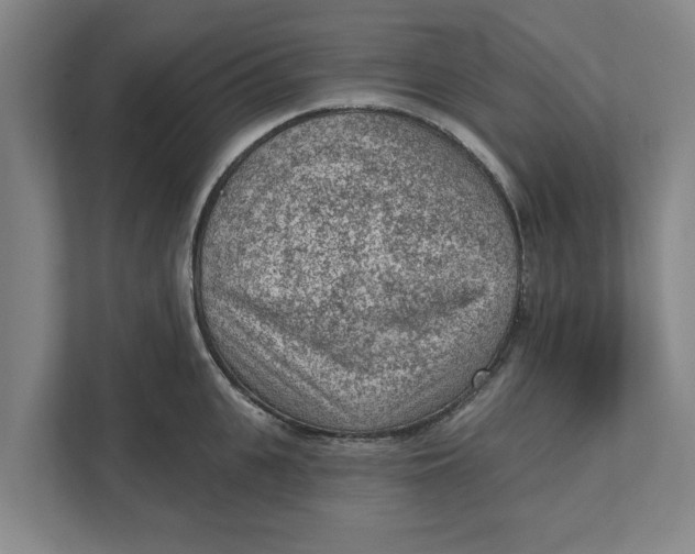 X0000111940951200908171254