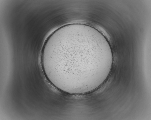 X0000111940952200908171254