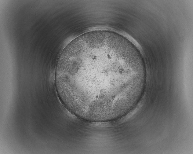 X0000111940953200908171254