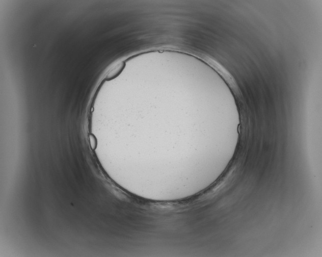 X0000111940956200908171254