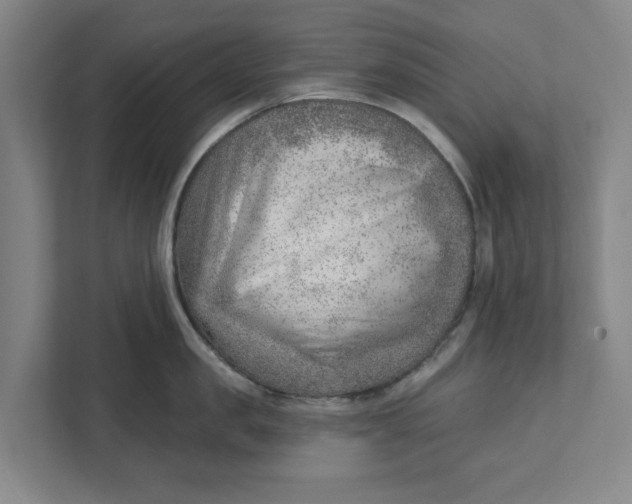 X0000111940957200908171254