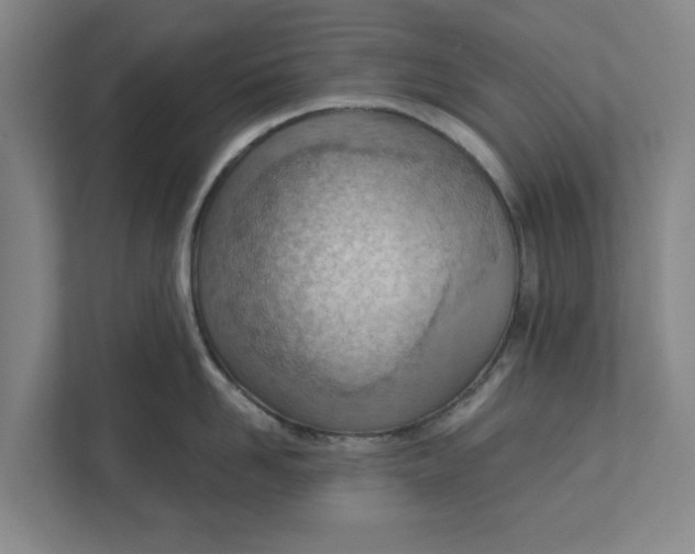 X0000111940958200908171254