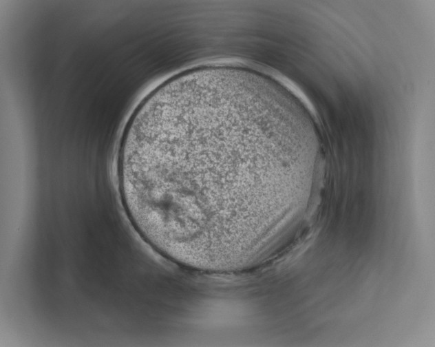 X0000111940959200908171254