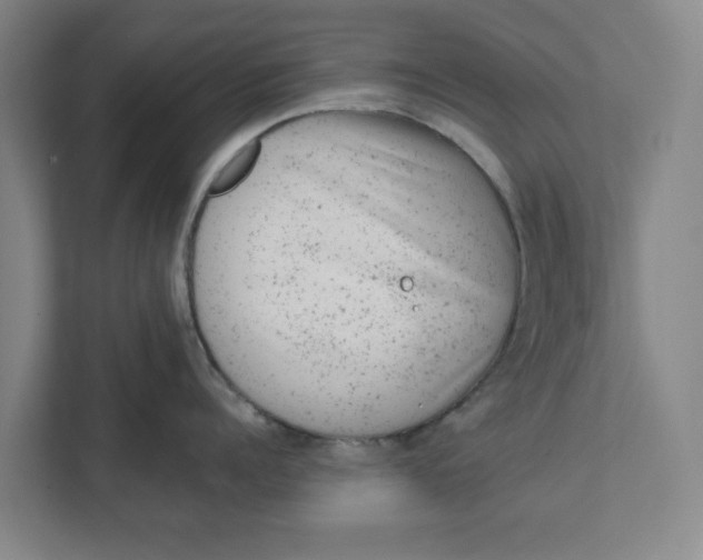 X0000111940960200908171254