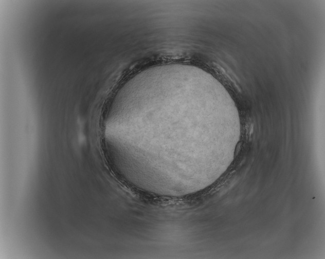 X0000111940961200908171254