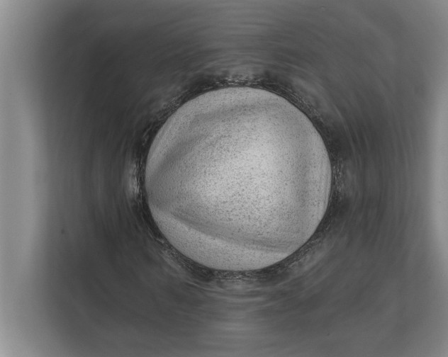 X0000111940962200908171254