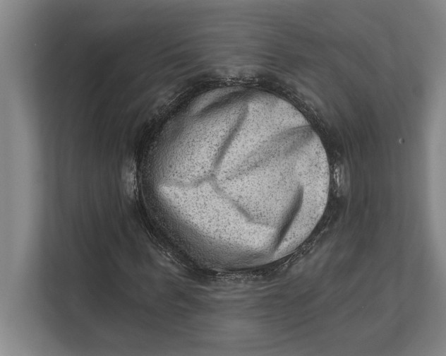 X0000111940963200908171254