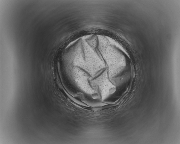 X0000111940965200908171254