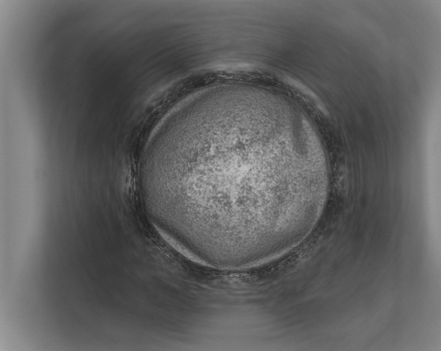 X0000111940966200908171254