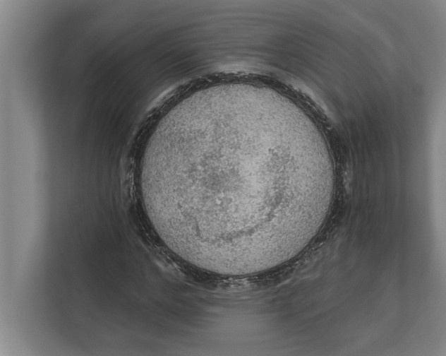 X0000111940968200908171253