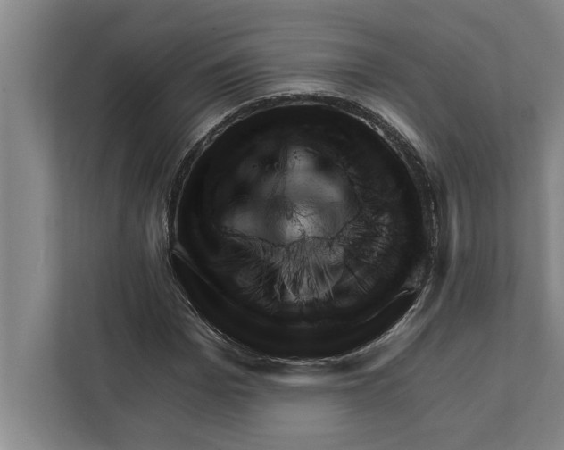 X0000111940969200908171253