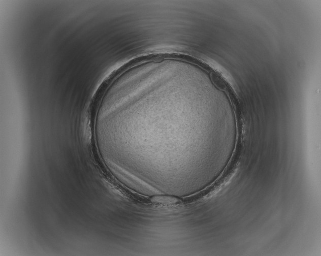 X0000111940973200908171253