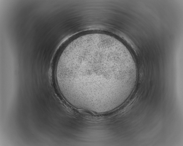 X0000111940975200908171253