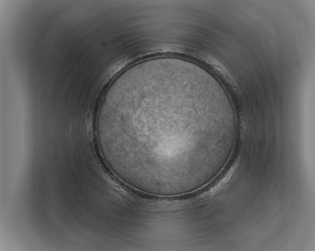 X0000111940977200908171253