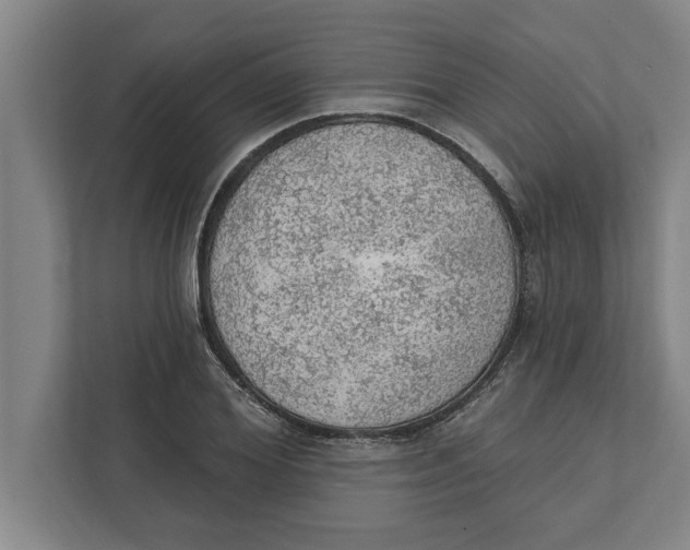 X0000111940980200908171253