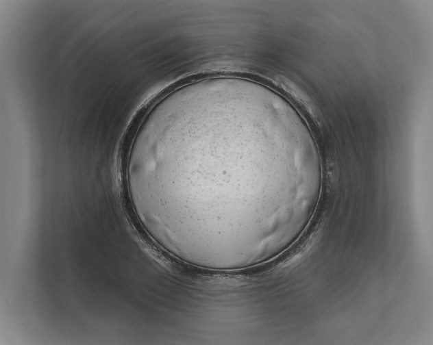 X0000111940981200908171253