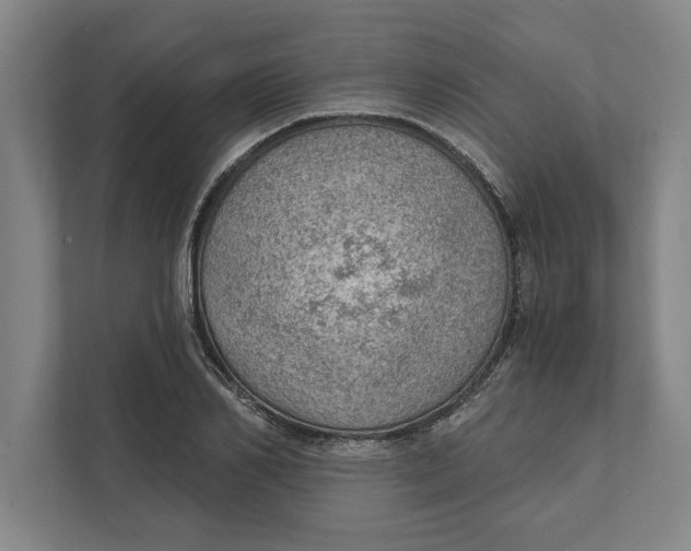 X0000111940982200908171253