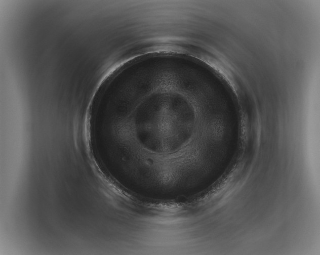 X0000111940983200908171253