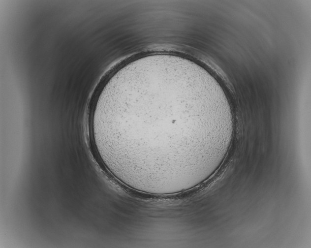 X0000111940984200908171253