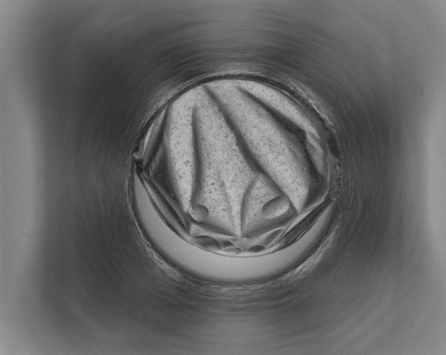 X0000111940985200908171253