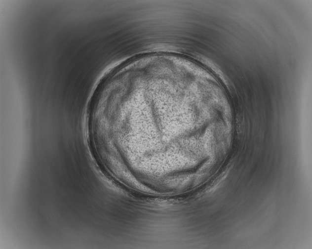 X0000111940987200908171253