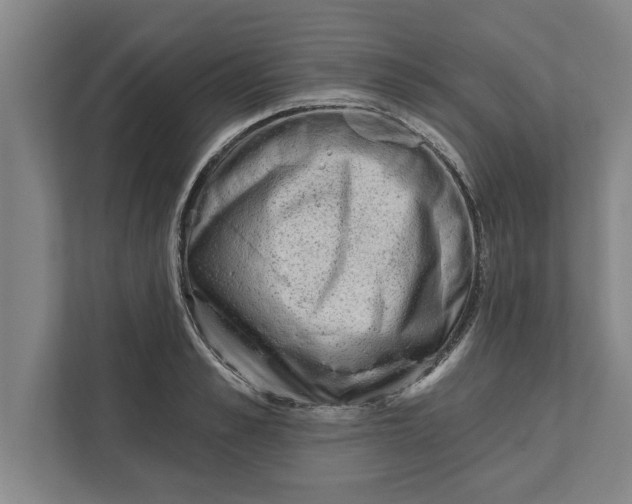 X0000111940989200908171253