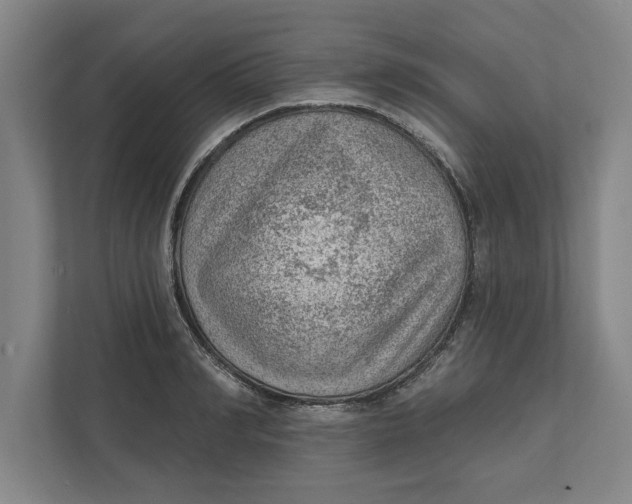 X0000111940990200908171253