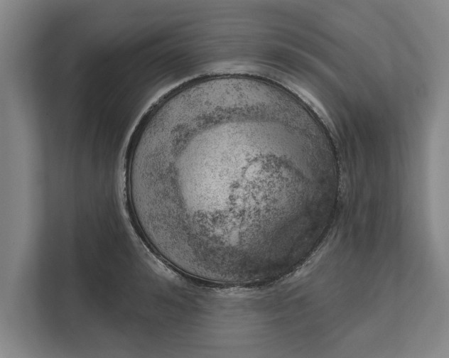 X0000111940992200908171253