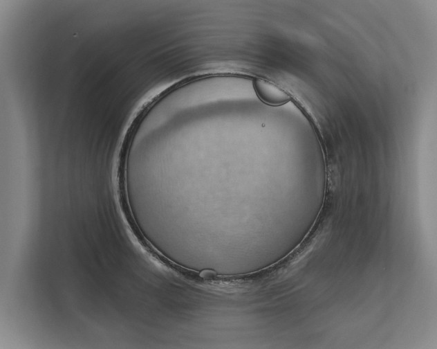 X0000111940995200908171253