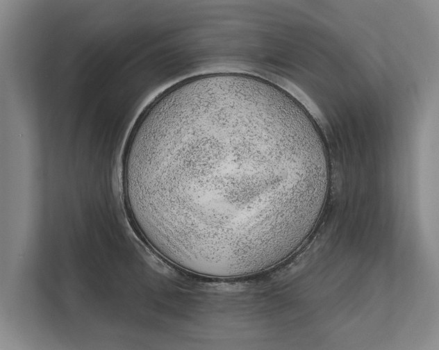 X0000111940996200908171253