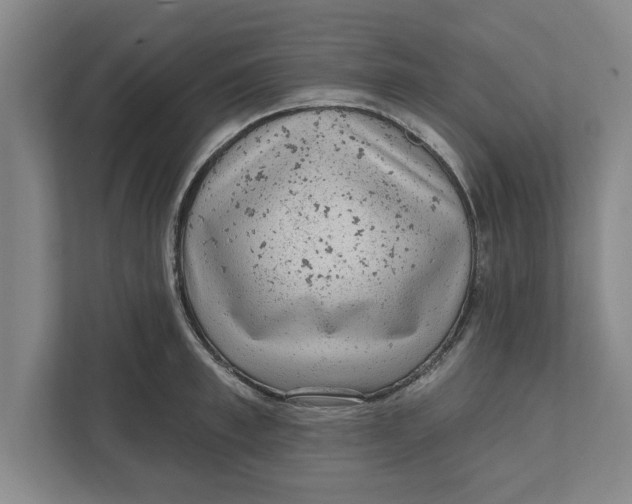 X0000111940997200908171253