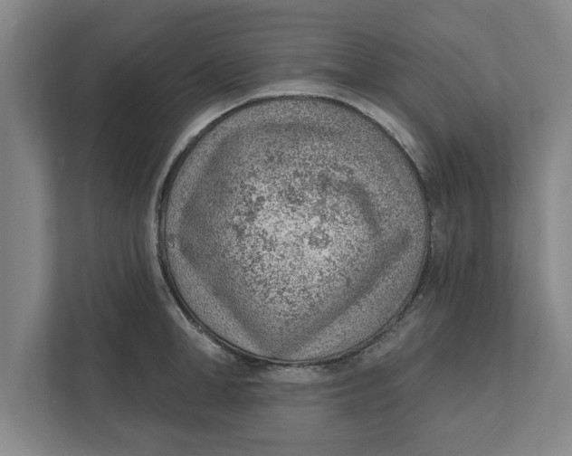 X0000111940998200908171253