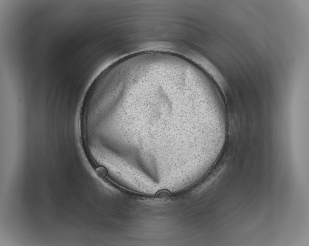 X0000111940999200908171253