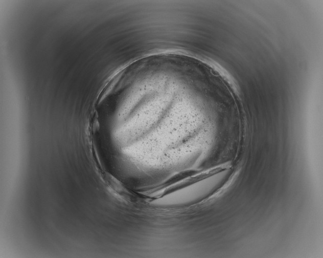 X0000111941001200908171253