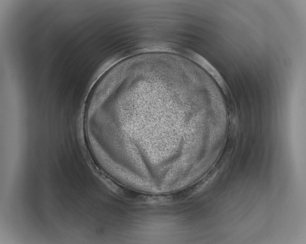 X0000111941002200908171253