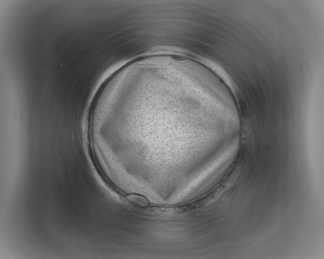 X0000111941003200908171253