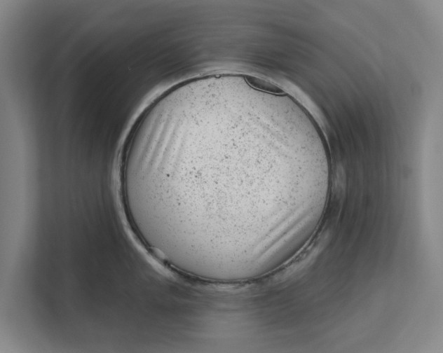 X0000111941005200908171253