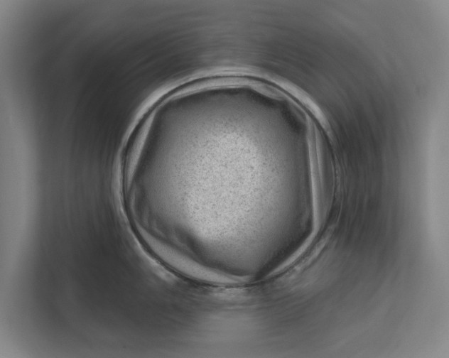 X0000111941006200908171253