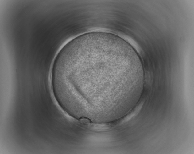 X0000111941007200908171253