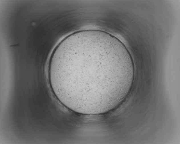 X0000111941008200908171253