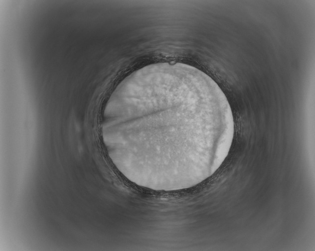 X0000111941009200908171252