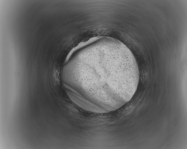 X0000111941010200908171252