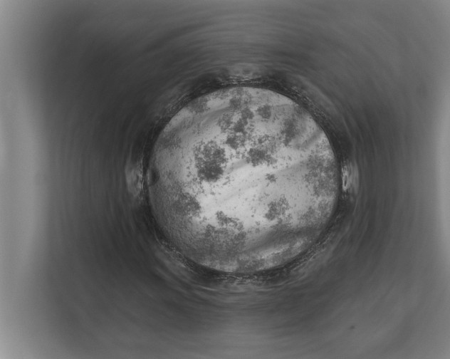 X0000111941011200908171252