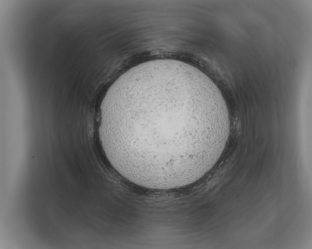 X0000111941012200908171252