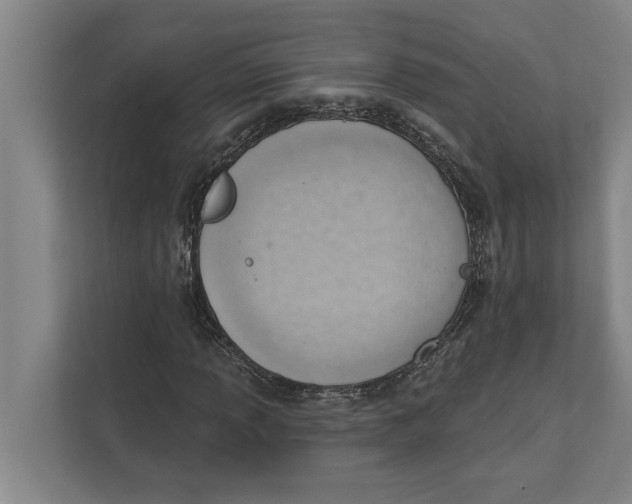 X0000111941013200908171252