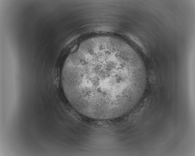 X0000111941015200908171252