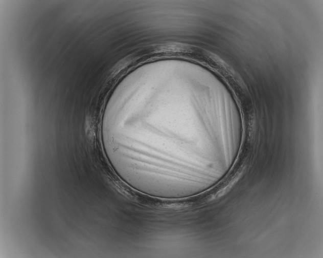 X0000111941017200908171252